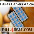 Pilules De Vers À Soie 23